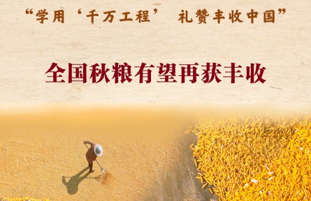 第七個(gè)中國農(nóng)民豐收節(jié)來了！全國秋糧有望再獲豐收