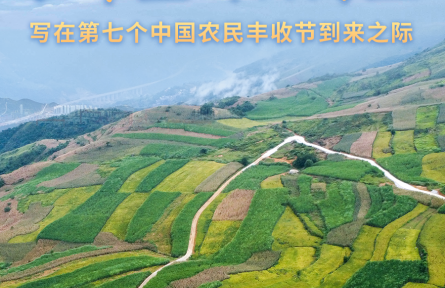 收獲，在希望的田野上——寫在第七個(gè)中國農(nóng)民豐收節(jié)到來之際